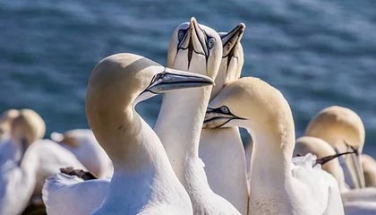 余姚最新公积金卡提取方法分析(最方便真实的余姚公积金卡提取后还可以继续使用吗方法)