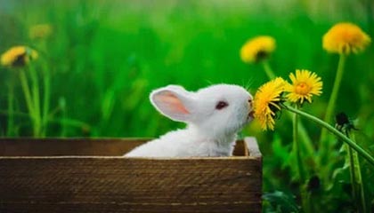 余姚最新怎么提现公积金卡里的钱方法分析(最方便真实的余姚怎么将公积金提现方法)